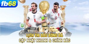 lich-thi-dau-bong-da-cap-nhat-nhanh-chinh-xac